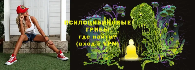 Псилоцибиновые грибы Magic Shrooms  Богородицк 